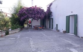 Fra Il Glicine E Il Sambuco
