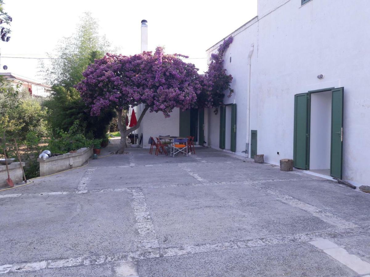 Villa Fra Il Glicine E Il Sambuco à Monopoli Extérieur photo
