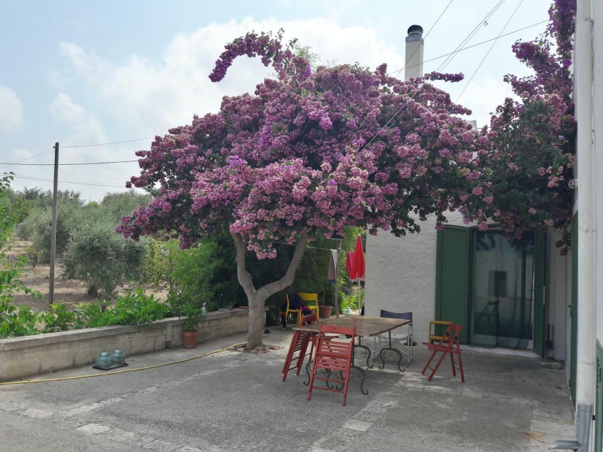Villa Fra Il Glicine E Il Sambuco à Monopoli Extérieur photo